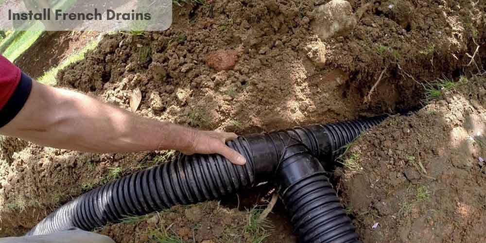 Install French Drains